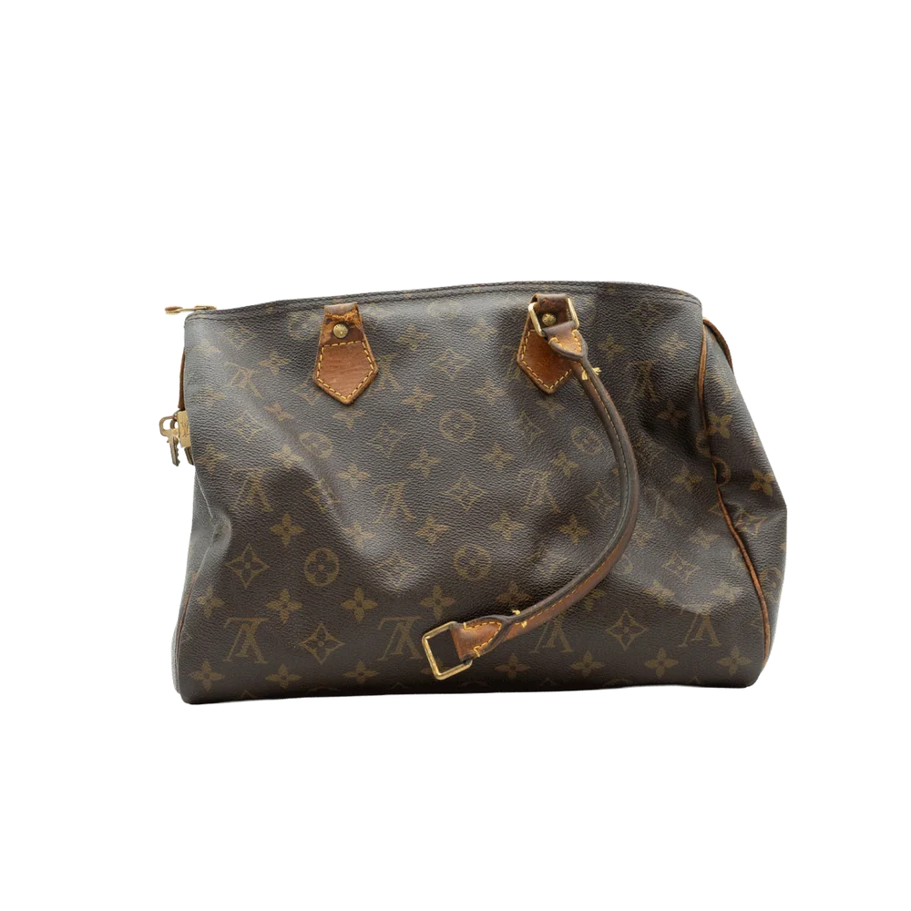 Louis Vuitton Speedy Restoration