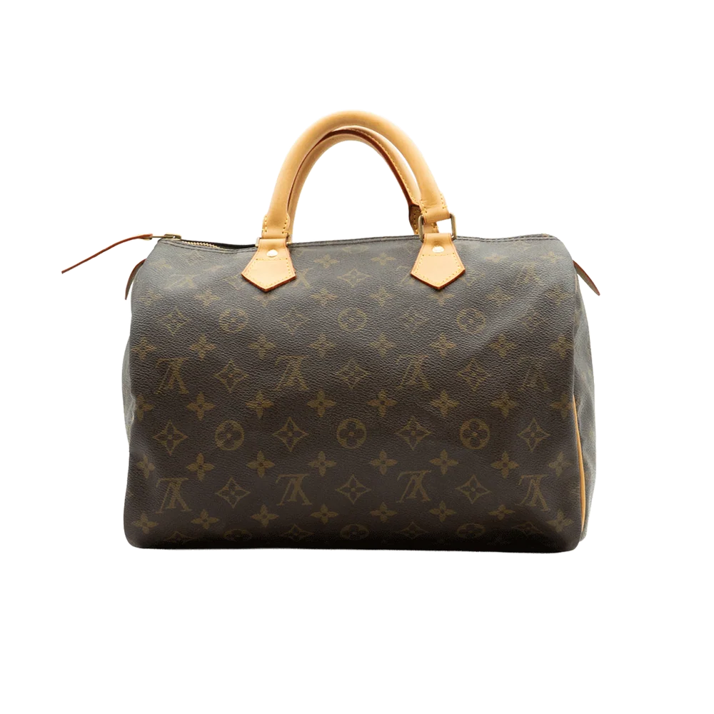 Louis Vuitton Speedy Restoration